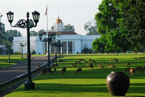 Secuil Memori Dua Abad Kebun Raya Bogor Kebun Raya Tertua Di Asia