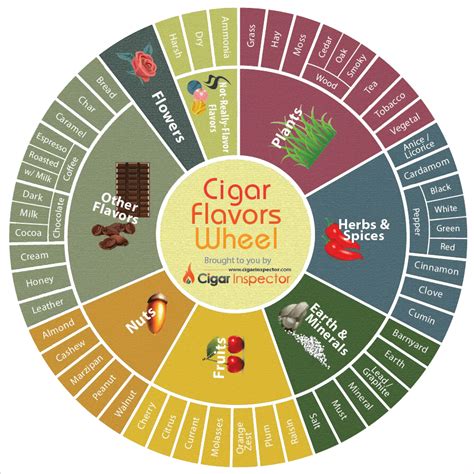 Cigar Flavors Wheel Main Cigar Flavor Components Cigar Inspector