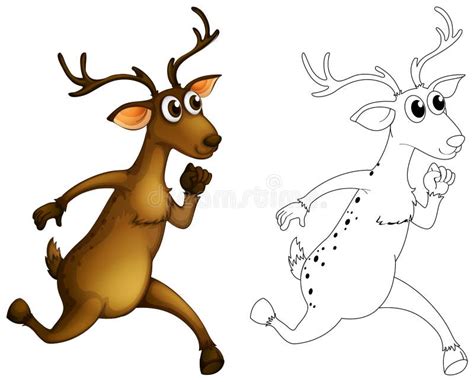 Animal Outline For Deer Running Stock Vector Illustration Of Coloring