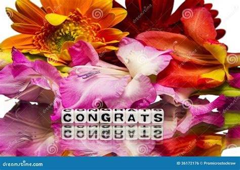 Congrats With Flowers Stock Photo Image Of Acclaim Greeting 36172176