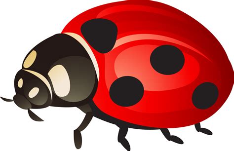 Ladybird Beetle Clip Art Painted Red Ladybug Png Download 1501972