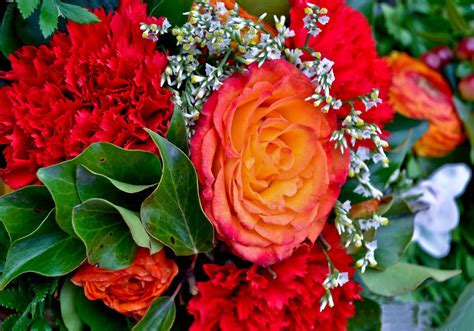 See more ideas about beautiful roses, beautiful flowers, pretty flowers. love rose,beautiful rose,gift rose photos for desktop free ...