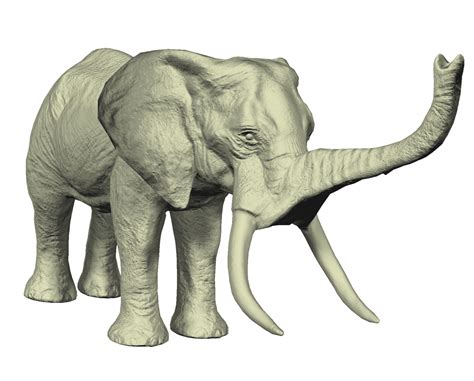 Download Free Photo Of Drawing3dafricanelephanttusks From