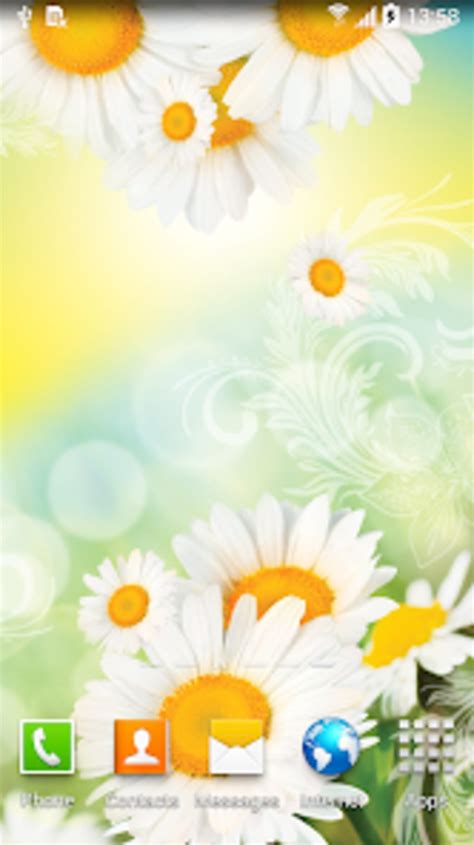 Daisies Live Wallpaper For Android Download