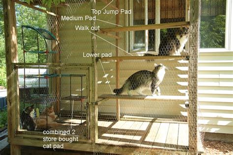 Build An All Season Outdoor Cat Habitat 16 Steps With