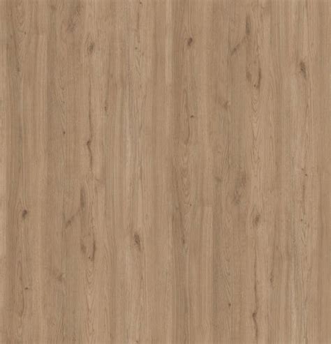 Wood Door Texture Stock Photos Pictures And Royalty Free Images Istock