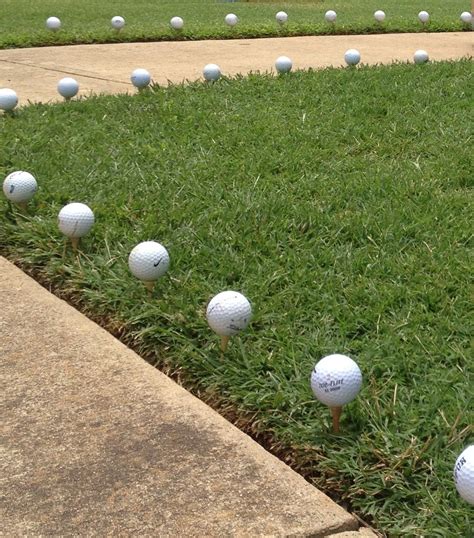 For The Golfer Outdoor Decor Outdoor Golf Party