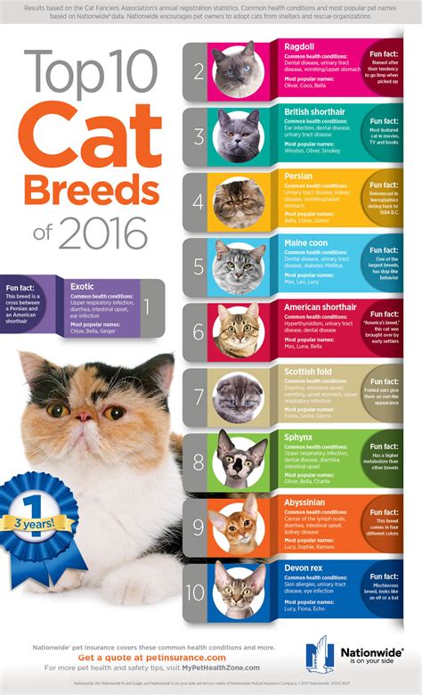 Top 10 Cat Breeds Of 2016 Pet Health Insurance And Tips