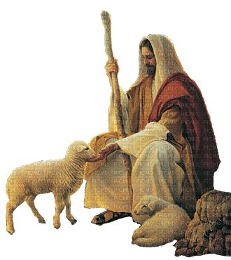 Amado pastor, hoy, de manera especial, quiero darte gracias por perdonarme cada vez que mis actos rebeldes me apartan de ti, me sales a buscar como el buen pastor busca a la oveja perdida y me. El buen pastor - PicMix