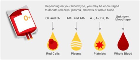 Where To Donate Platelets