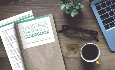 buy the massage therapist s guidebook the massage mentor institute
