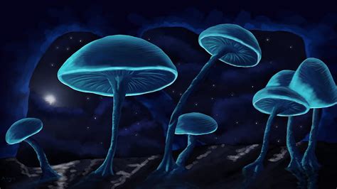 1920x1080px 1080p Free Download Blue Mushrooms Abstract Blue