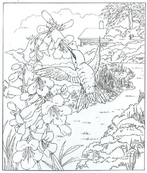Realistic Coloring Pages For Adults At Free