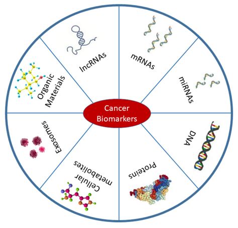 Types Of Cancer Biomarkers Biomarkers Are Mostly Found In Body Fluids