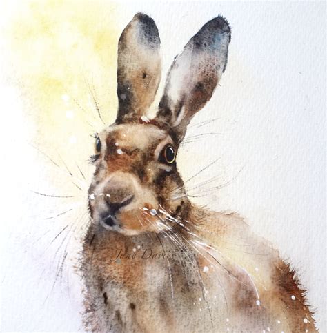 Hare Painted By Watercolour Artist Jane Davies Pet Portraits Hare