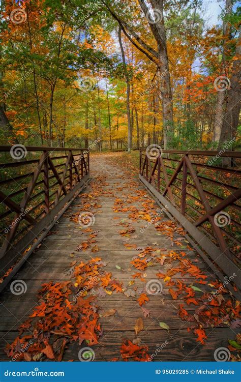 Autumn Foot Bridge Stock Image Image Of Bridge Trail 95029285