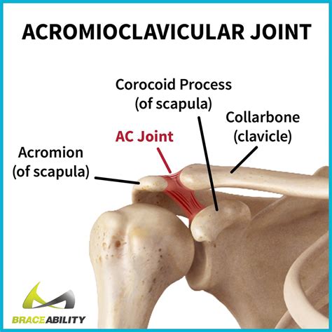 Right Acromioclavicular Joint