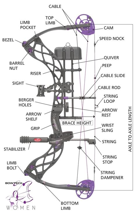 Parts Of A Compound Bow Best Compound Bow Compound Bow Archery Bows