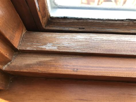Buy home window sills and get the best deals at the lowest prices on ebay! Refinishing Interior Windows - Lake Area Painting ...