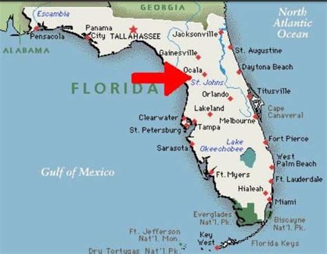 How Far Is Ocala From The Gulf Of Mexico Braedongrochapman