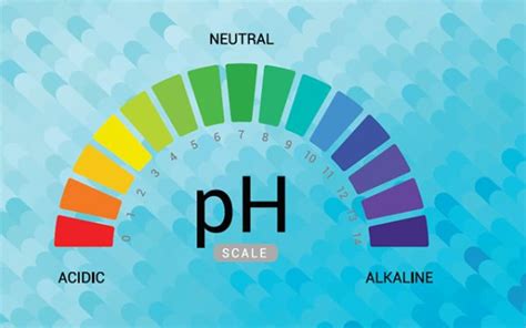Understanding The Difference Between Ph And Alkalinity Pool Pal