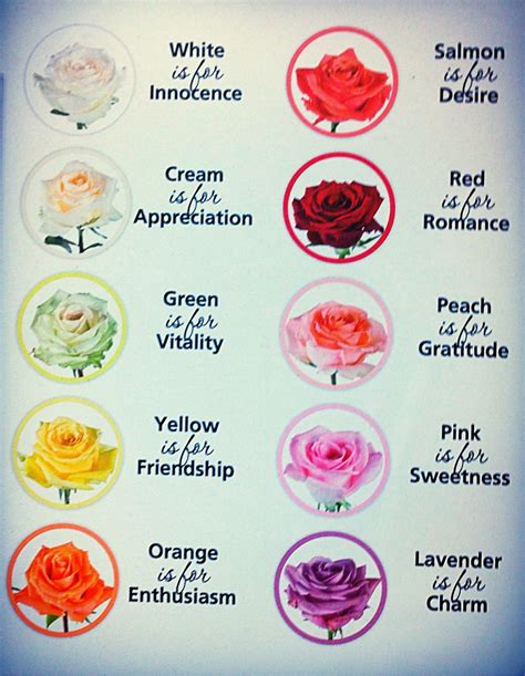 Roses Color Meaning Chart