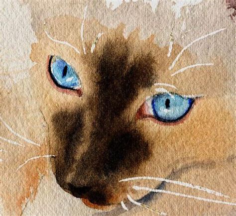 Siamese Cat Art Print Watercolor Painting Artwork Artist Etsy