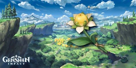 Who sells flowers in genshin. Genshin Impact: Sweet Flower Locations | Game Rant