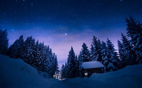 Trees Snow Winter Night Stars Cabin Path Trail Trees Sky Night Sky