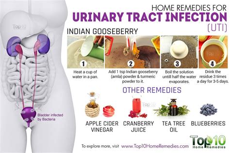 Home Remedies For Urinary Tract Infection Uti Top 10 Home Remedies