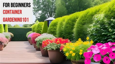 Container Gardening 101 A Beginners Guide To Growing Plants In