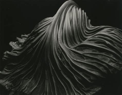 Cabbage Leaf By Edward Weston On Artnet Auctions