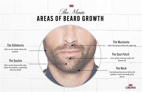 how to grow a beard faster and naturally complete guide cremo blog