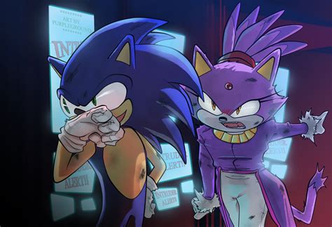 Sonic X Blaze Sonic Couples Fanpop