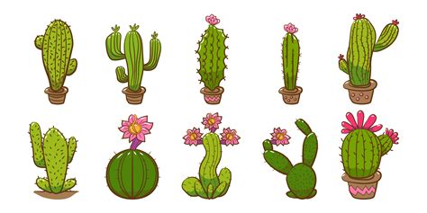 Cactus Vector Art Icons And Graphics For Free Download