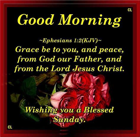 Good Morning Wishing You A Blessed Sunday Pictures Photos And Images