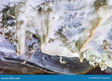 Beautiful White Stalactites Inside Cave In Brazil Stock Image Image