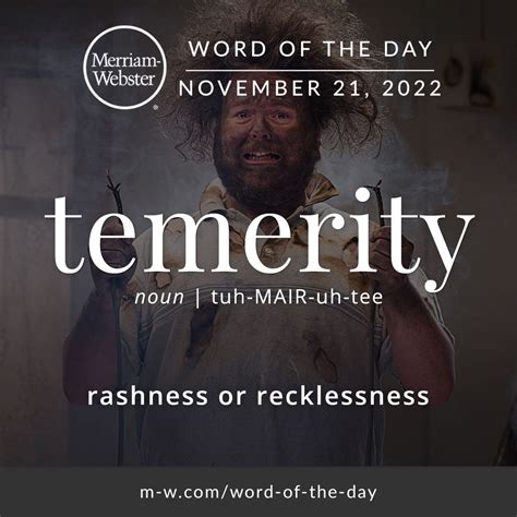 Word Of The Day Temerity In 2023 Word Of The Day Unusual Words