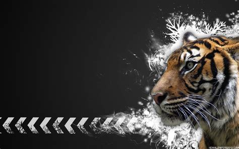 Wallpapers terkeren 2016 wallpaper cave image source dengan menggunaka gambar wallpaper bagus yang hendak disiapkan misalnya smartphone stiker wallpaper keren. Tiger Wallpaper | High Definition Wallpapers, High ...