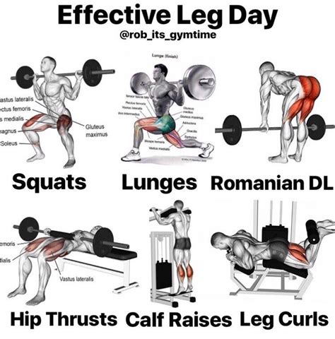 If There Is One Day That Most People Dread At The Gym It Is Leg Day