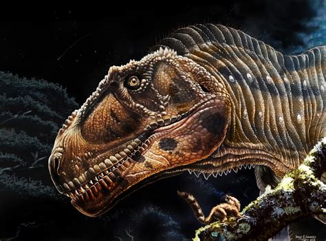 New Giant Dragon Dinosaur Offers Clues To T Rexs Weirdly Tiny Arms