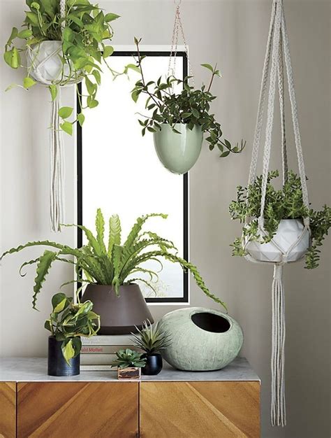 See more of decoración con plantas on facebook. Decorar con plantas de interior la casa