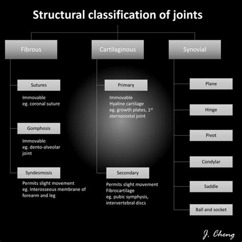 Classification Of Synovial Joints