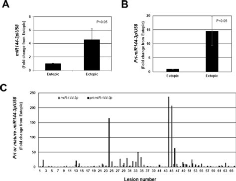 human endometriotic lesion expression of the mir 144 3p mir 451a cluster its correlation with