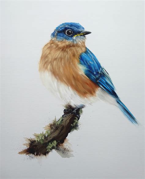 Eastern Bluebird Oilcolors Rpainting
