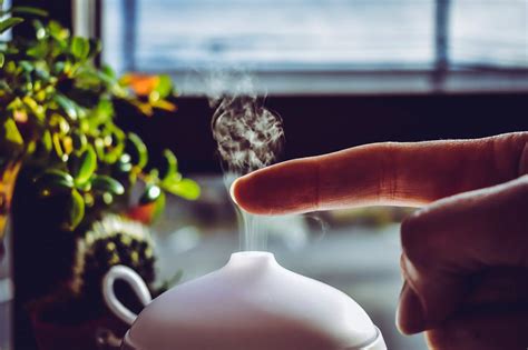 How To Stop Your Essential Oil Diffuser From Smelling Like Mildew Humeshed