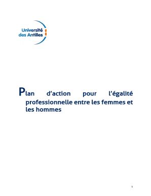 Fillable Online Plan D Action Galit Professionnelle Entre Les Femmes Et