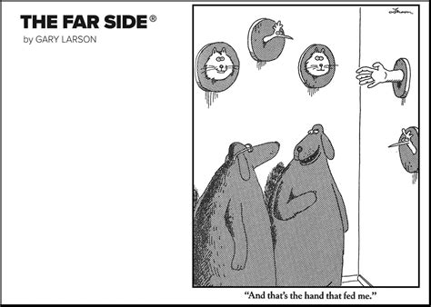 Stephen Kings Favorite Far Side Comic Shows How It Mastered Horror Comedy