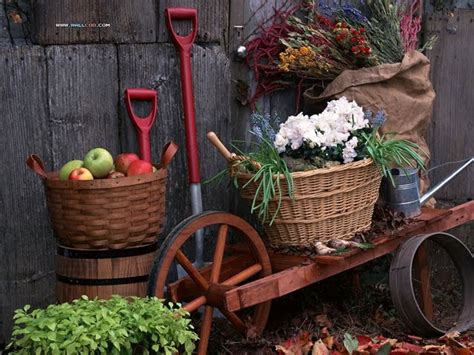 Vegetable Gardening Wallpaper Wallpapersafari