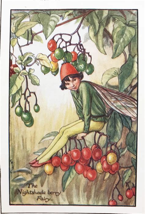Cicely Mary Barker Flower Fairies The Nightshade Berry Fairy